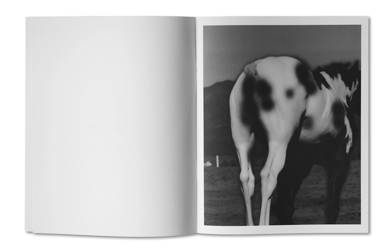 One Horse Landed Photobook + Wraparound Poster