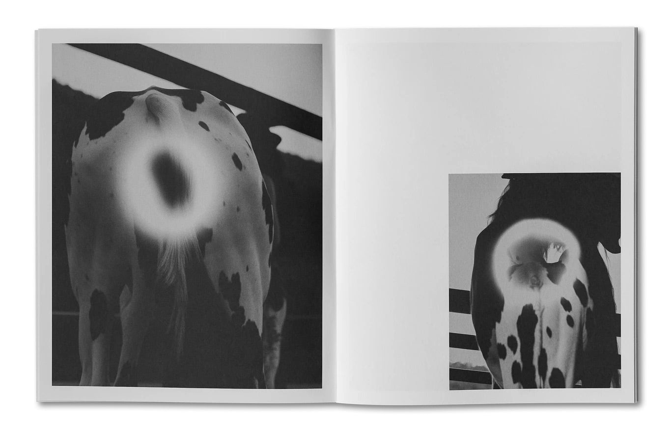One Horse Landed Photobook + Wraparound Poster