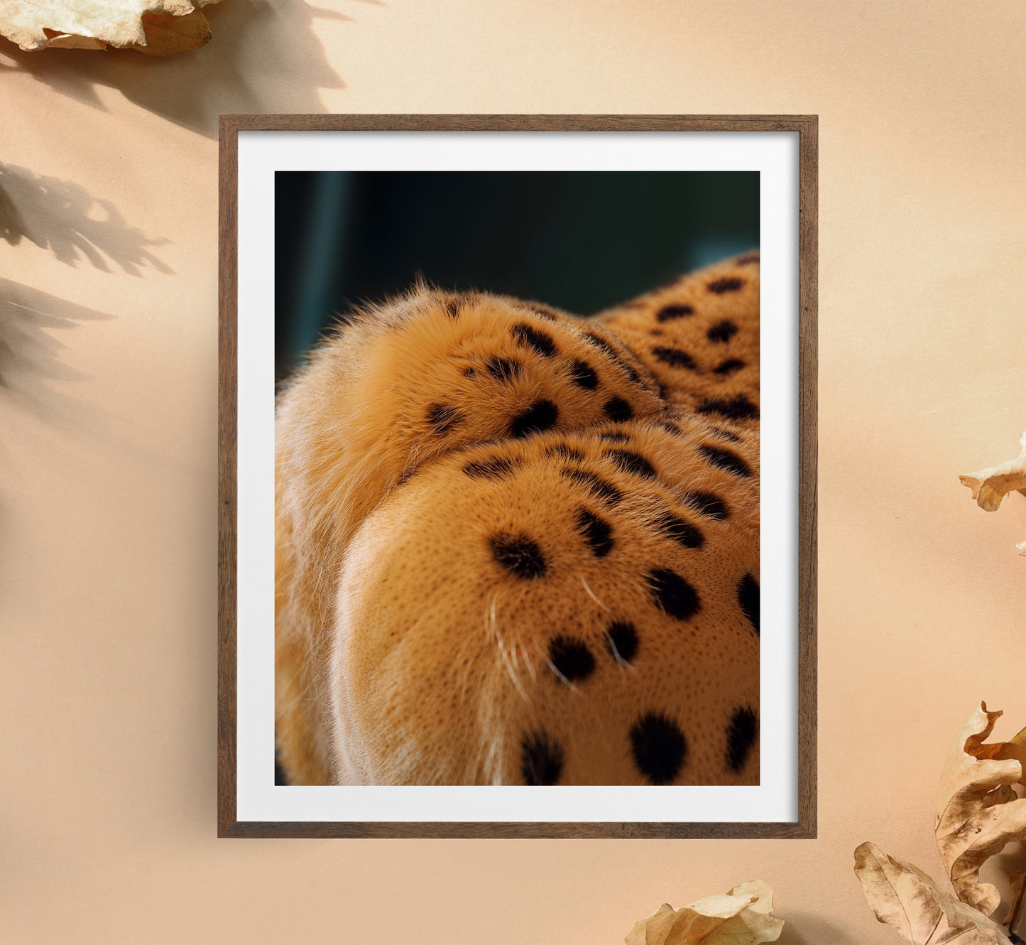 Fine Line Feline Print