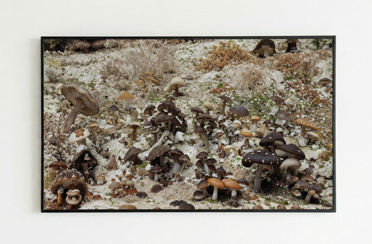 After 'Dead Troops Talk' (2025)