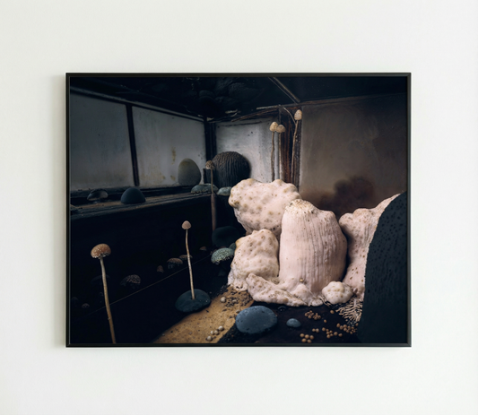 After 'After 'Spring Snow' by Yukio Mishima, Chapter 34' (2025)